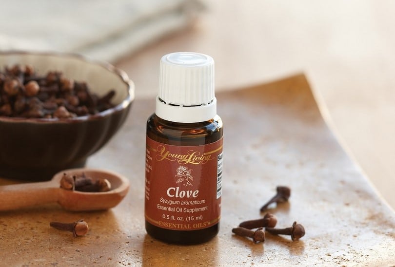 Clove oil