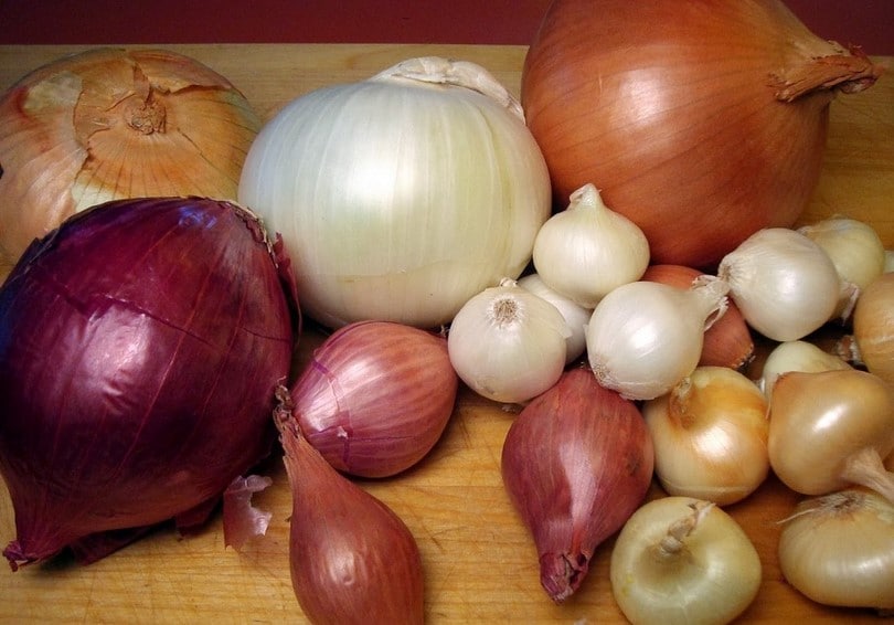 Garlic and onion
