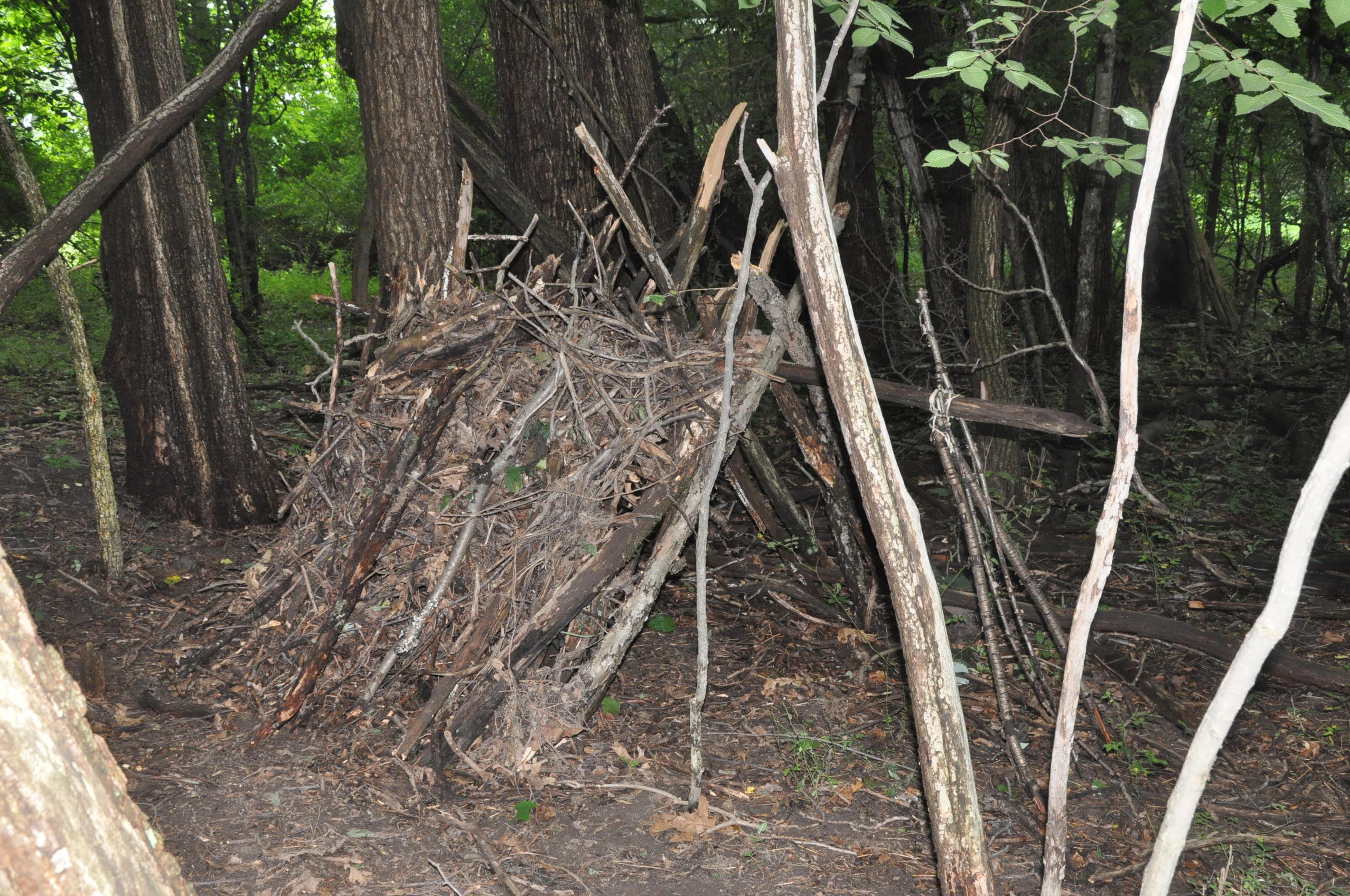 how-to-build-survival-shelter-getting-yourself-out-of-the-elements-in