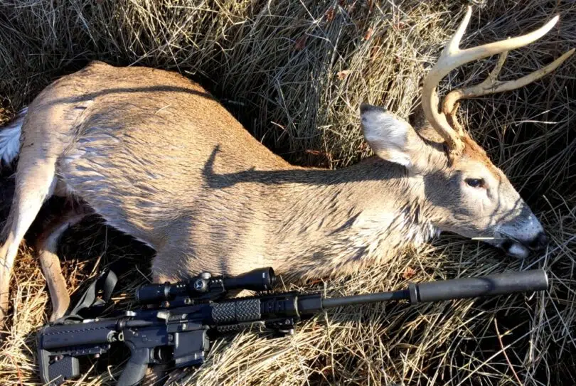 Deer Hunting Tips: Best Weapons, Safety Questions And Expert's Advices