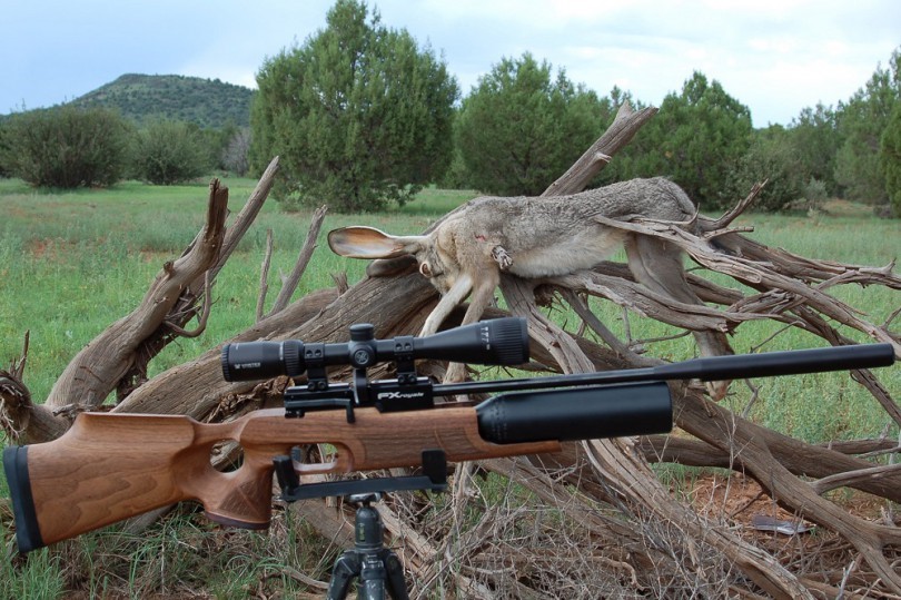 Best Hunting Rifle How to Choose The One for You