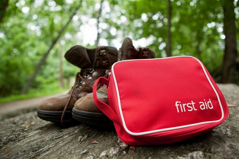 Wilderness First Aid How to Treat Common Injuries And Request Help