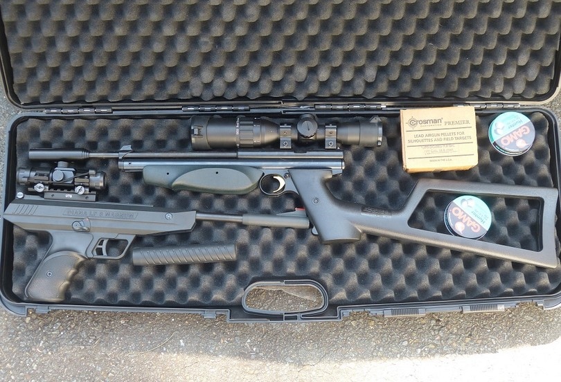 Best Pellet Gun for Hunting A Guide to Finding A Hunting Pellet Gun