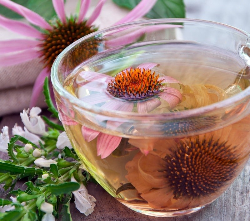 Cough Home Remedies Best Conservative Treatments