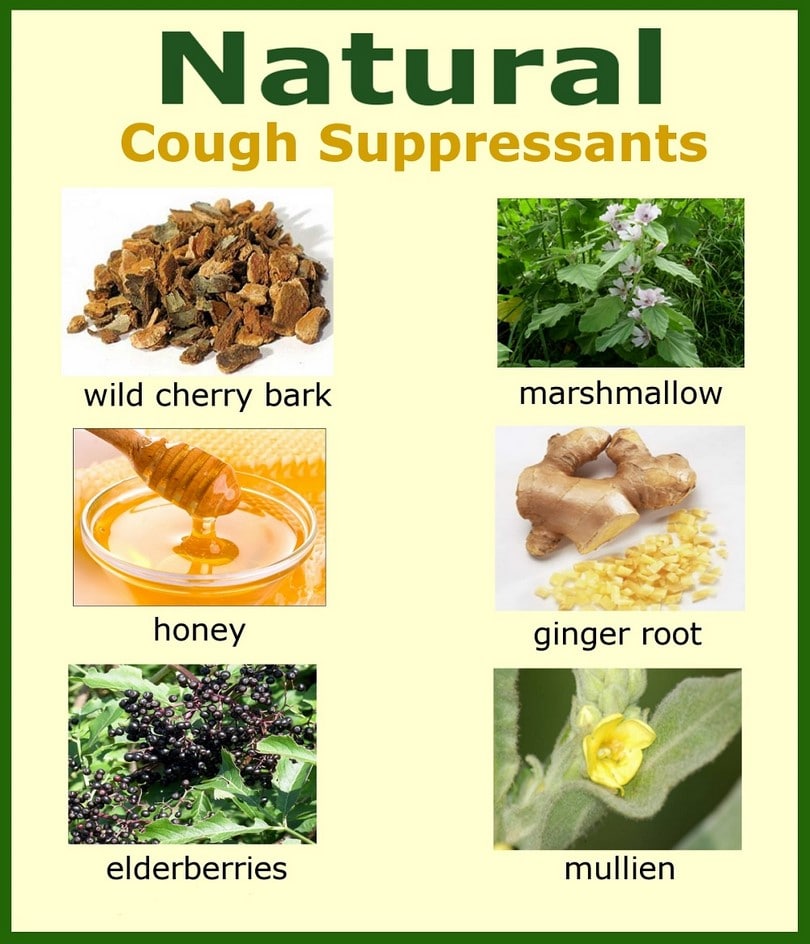 Natural Cough Suppressant 12