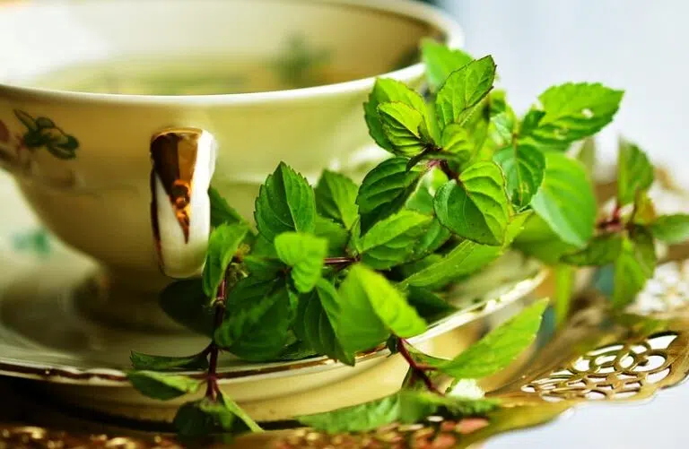 Home Remedies for Allergies Natural Solutions to Seasonal Problems