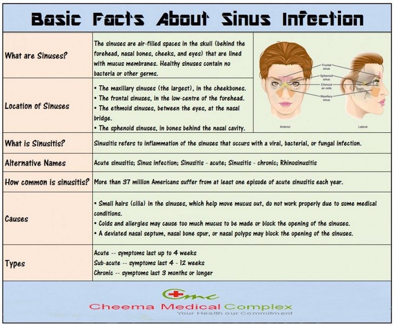 sinusitis antibiotics throughout pregnancy