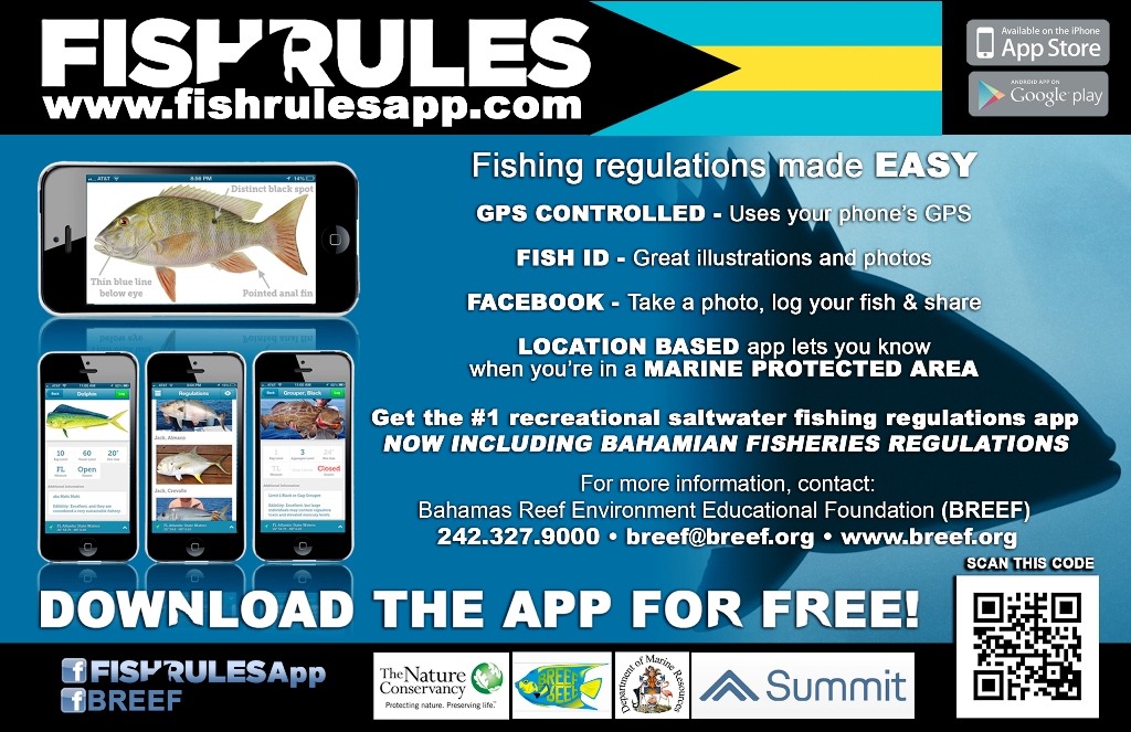 Best Fishing Apps for Your Smartphone Overview