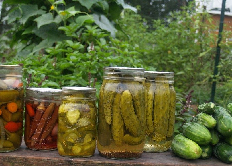 Complete Guide to Home Canning All You Need to Know About Canning Food