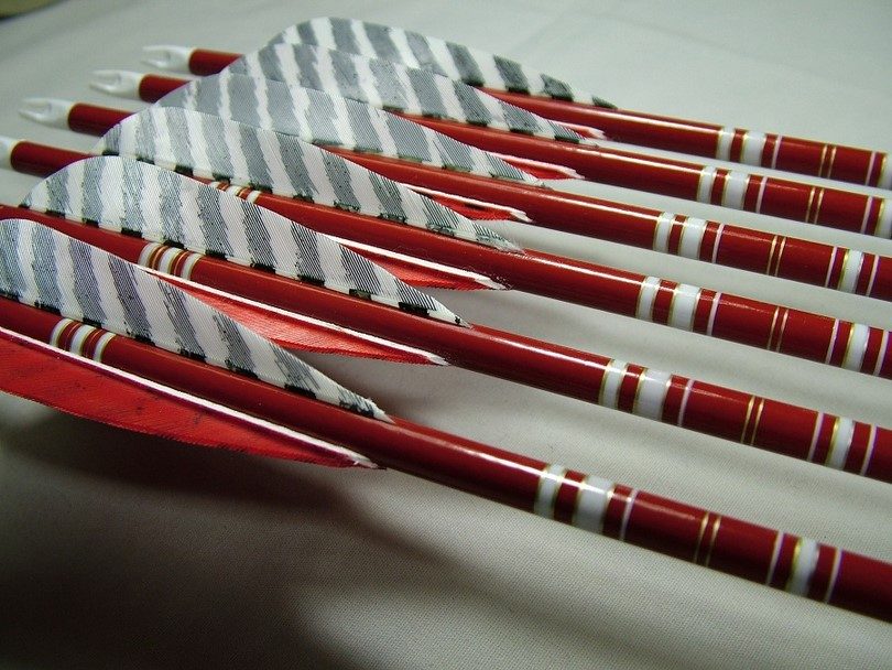 Best Arrows for Hunting Enhancing Your Hunting Experience with The