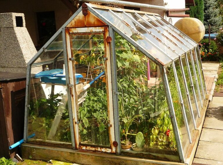 How to Build A Greenhouse Grow Your Own Vegetables at Home
