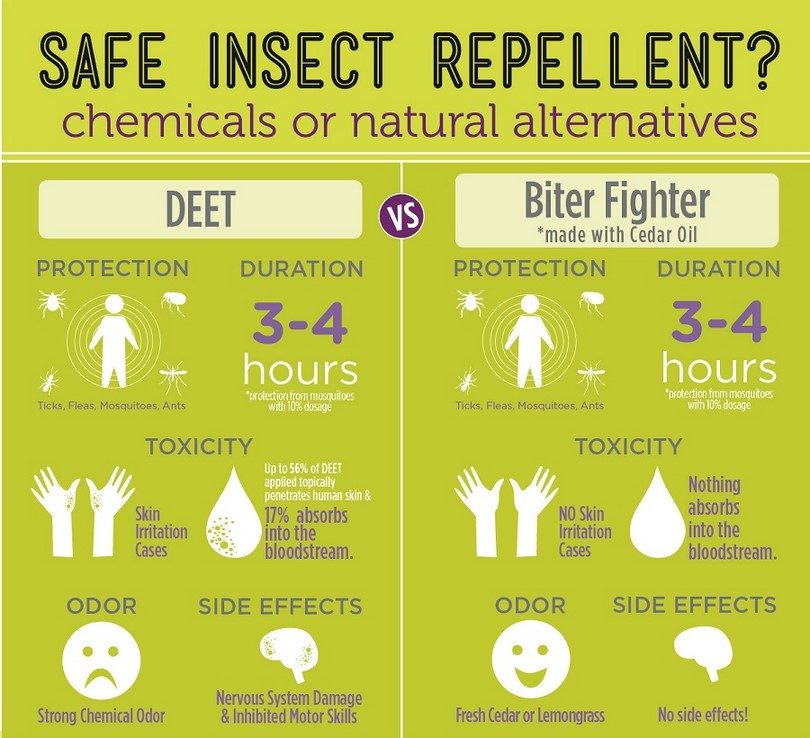 Homemade Mosquito Repellent Tricks on How to Make Your Own Weapons