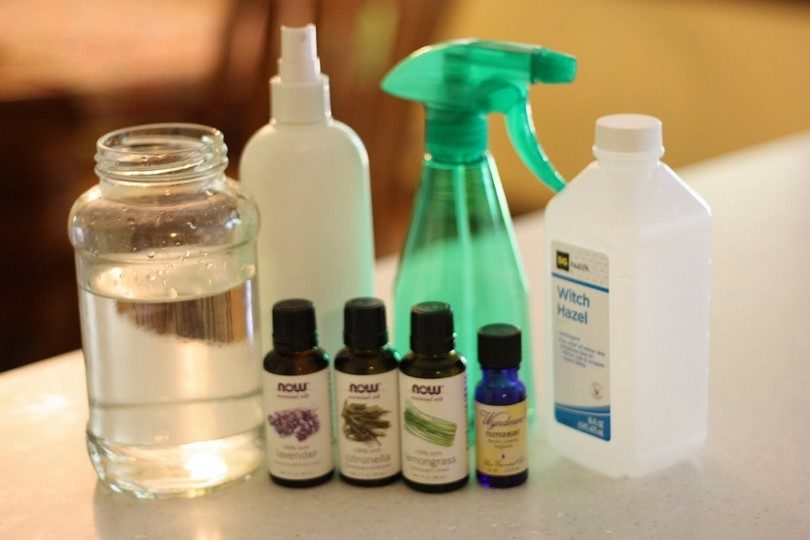 Homemade Mosquito Repellent Tricks on How to Make Your Own Weapons