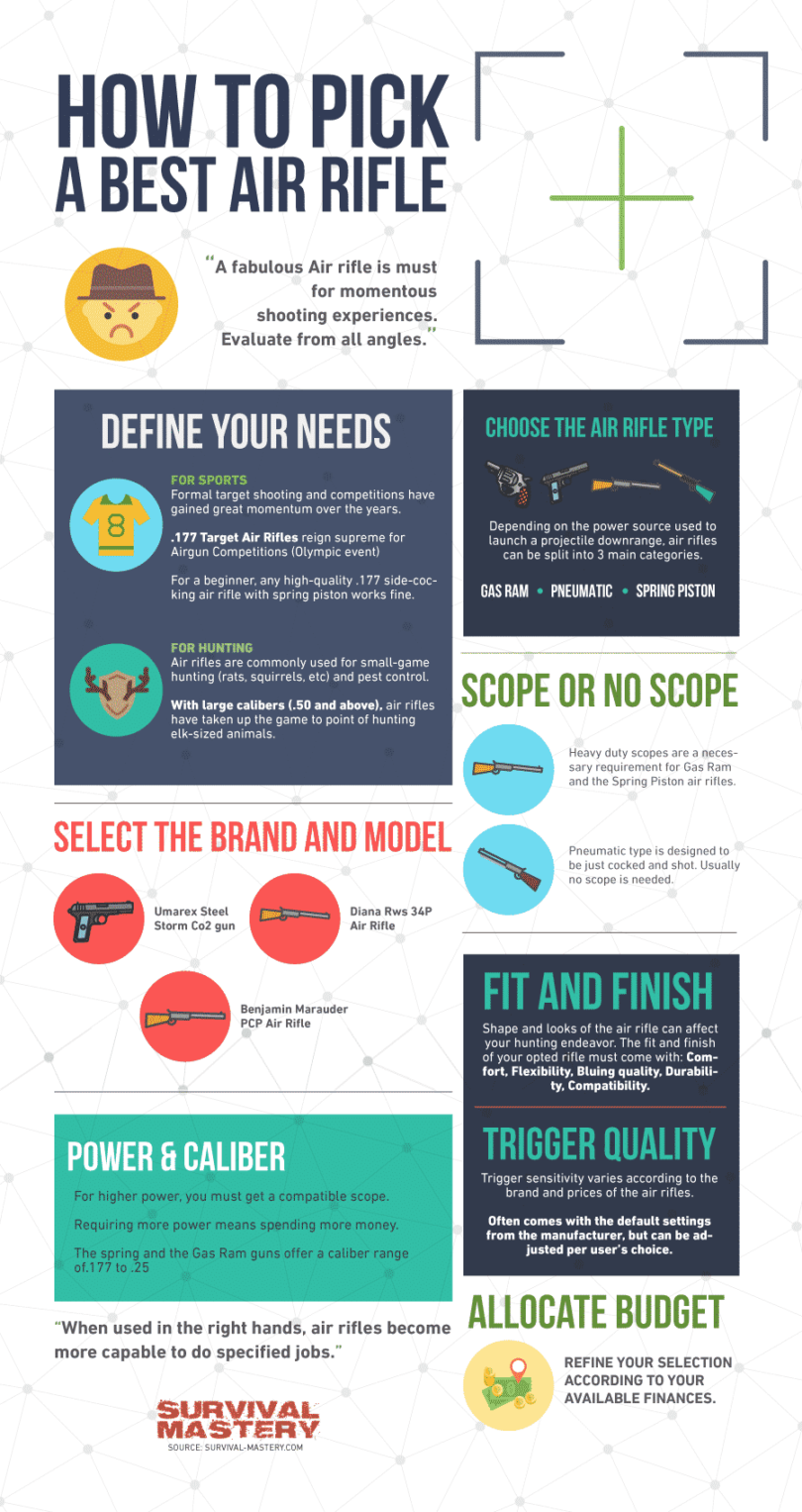 Best Pellet Gun for Hunting A Guide to Finding A Hunting Pellet Gun