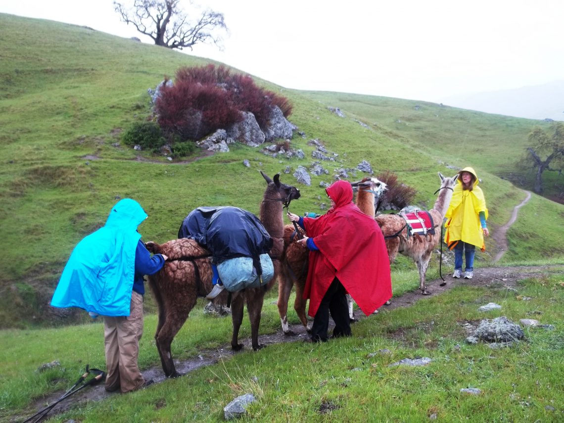 Best Hunting Rain Gear How to Choose The Rain Gear That’s Right for You