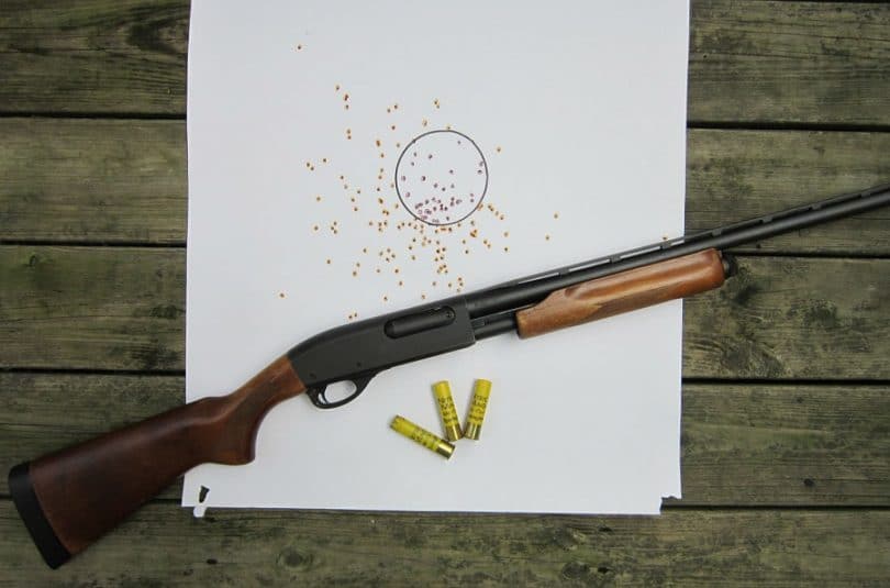 Best Shotguns for Home Defense Choosing A Weapon for Home Protection