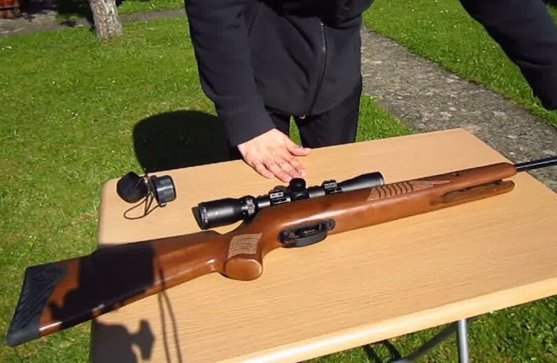 Best Pellet Gun for Hunting A Guide to Finding A Hunting Pellet Gun