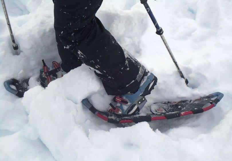 Best Snowshoes Explore Nature by Floating on Powdery Snow