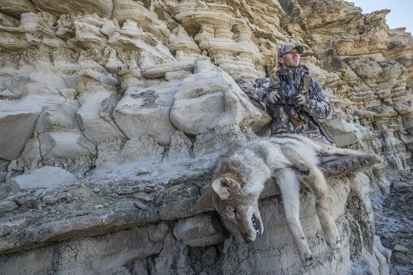 Coyote Hunting Tips & Tricks That Will Give You The Advantage