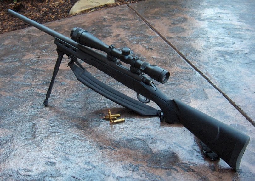 Best Varmint Rifle Finding A Good Rifle for Varmint Hunting and Control