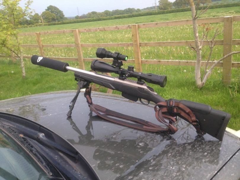 Best Varmint Rifle Finding A Good Rifle for Varmint Hunting and Control