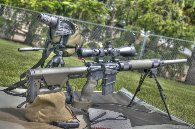 Best Varmint Rifle Finding A Good Rifle for Varmint Hunting and Control