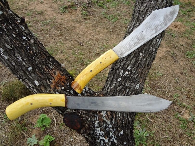 Best Survival Machete Stay Sharp Regardless of Situation