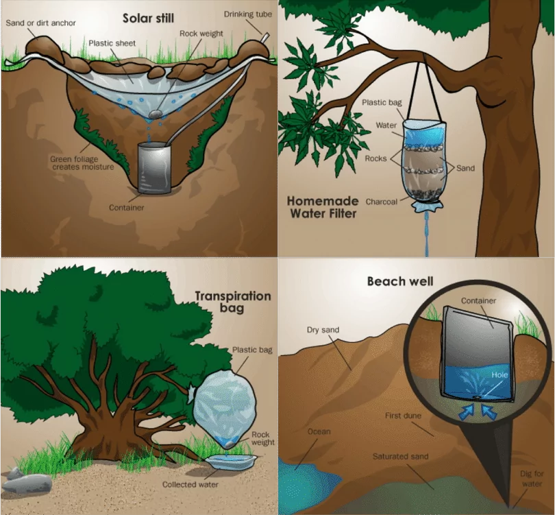 How to Find Water in a Survival Situation