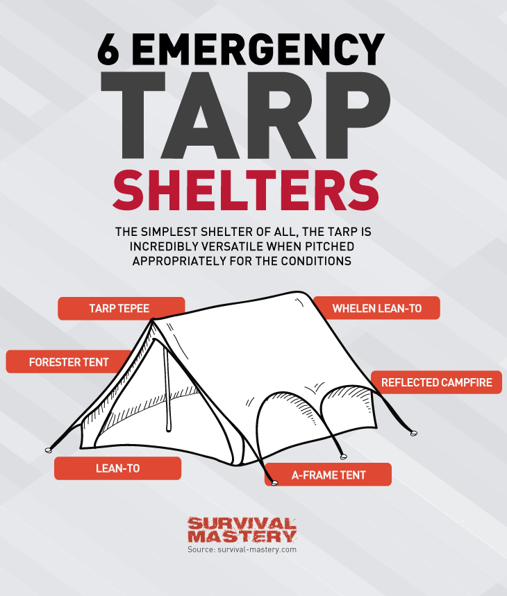 Tarp shelters infographic