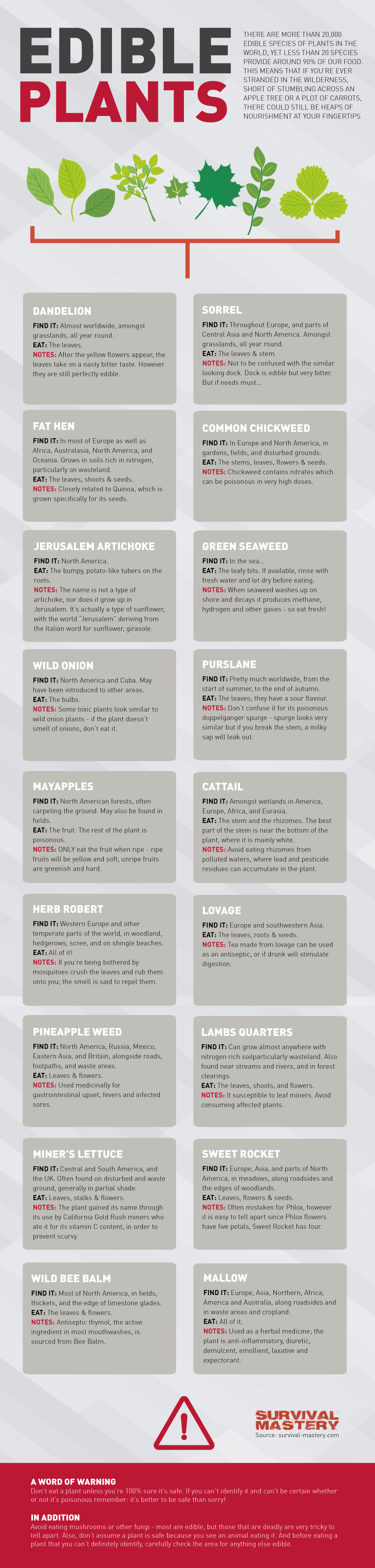 Edible plants infographic