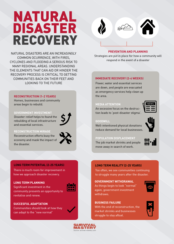 Natural disaster infographic