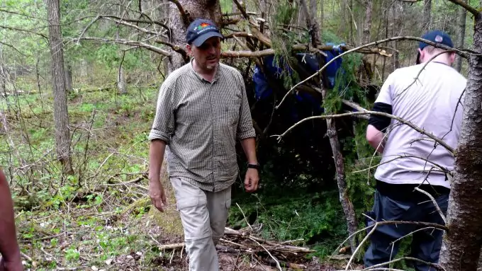 Investigating Forest