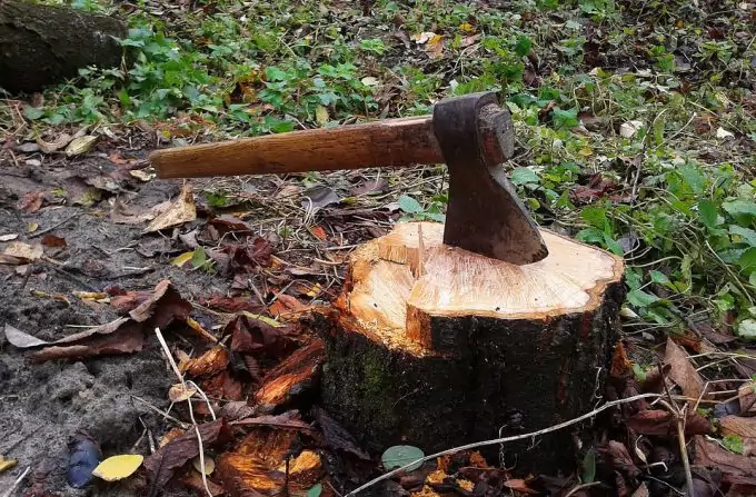 Survival Axe