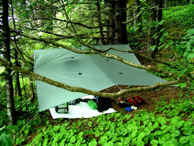 Tarp Shelter