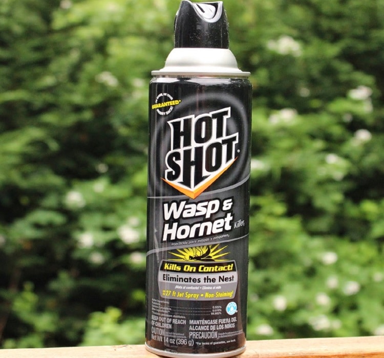 Wasp & Hornet Spray Killer Hot Shot