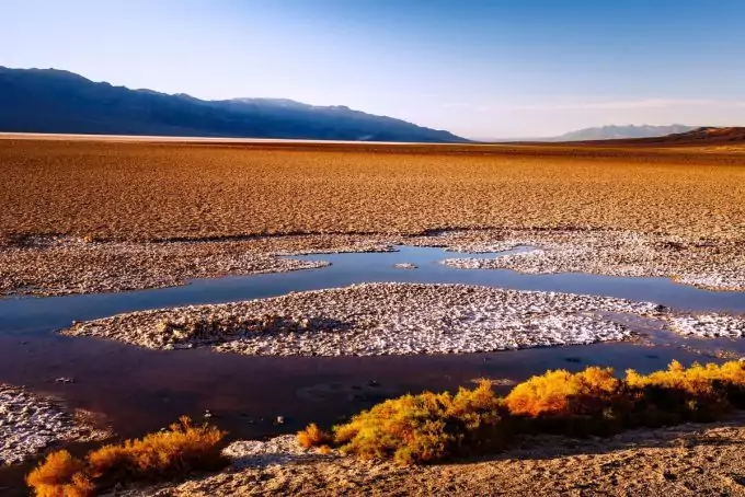 Water In Desert