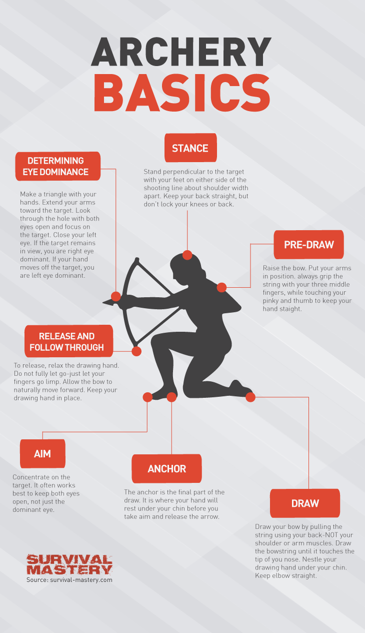 Archery basics infographic