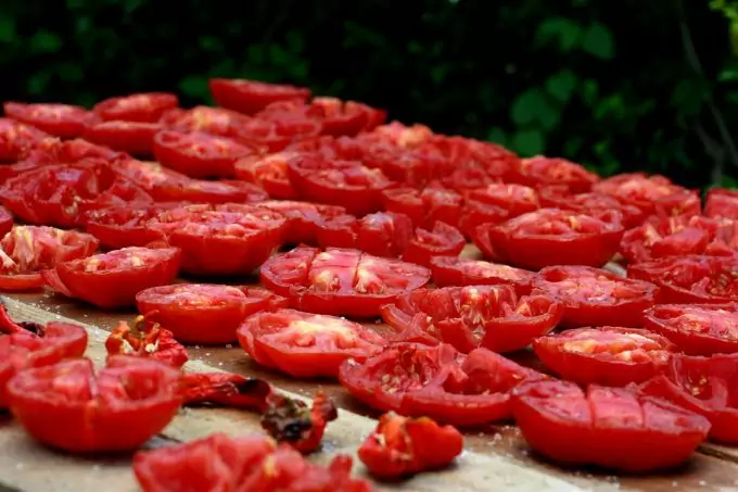 Sun Drying Tomatoes