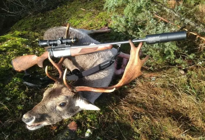 Best Deer Rifle