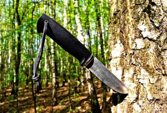 Best Survival Knife