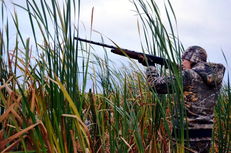 Duck Hunting Strategies and Advices from Experienced Hunters
