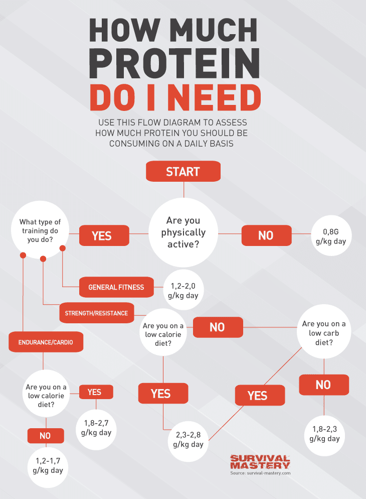 How much protein infographic