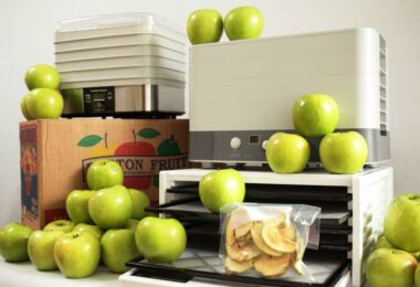 Best Food Dehydrator