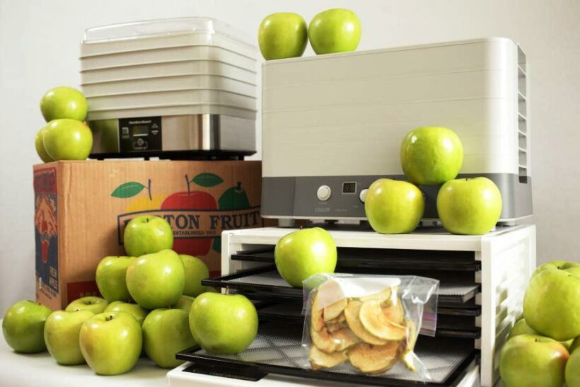 Best Food Dehydrator Top 10 Dehydrators on The Market