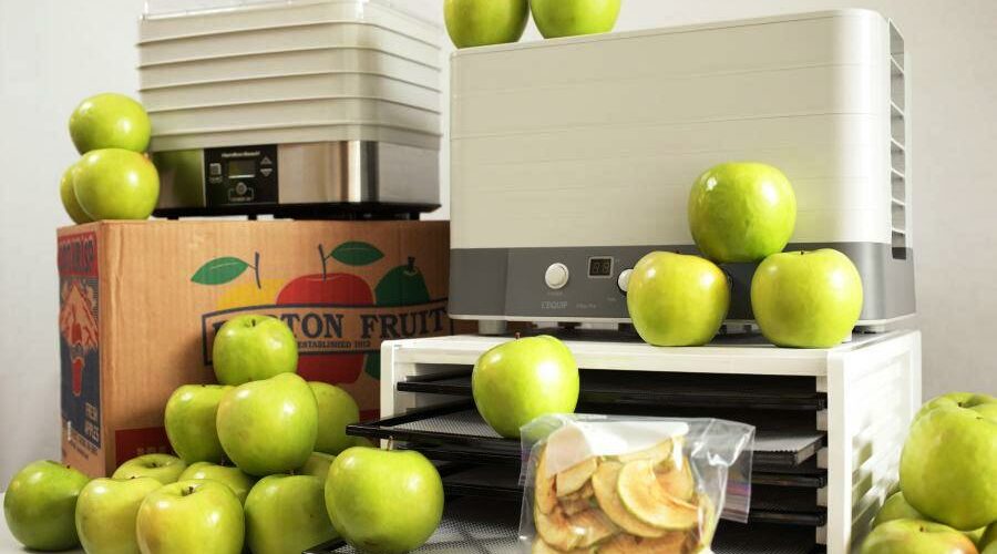 Best Food Dehydrator