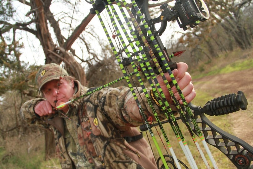 Bow Hunting Tips from The Expirenced Hunters Best Advices