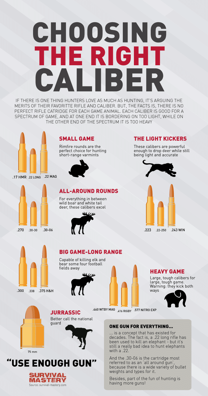 Choosing caliber infographic