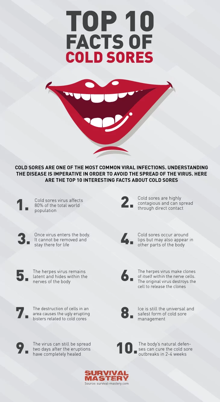 Cold sores infographic