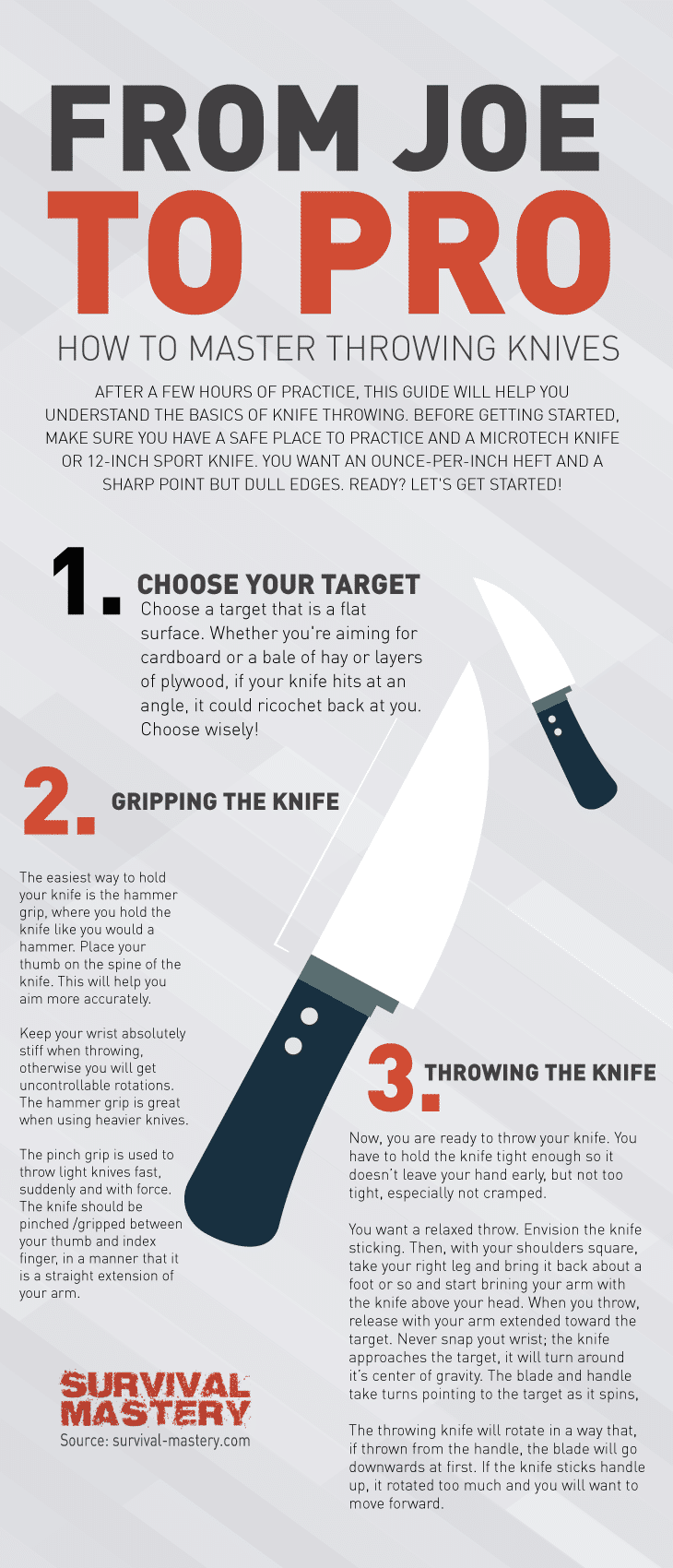 Joe to pro infographic