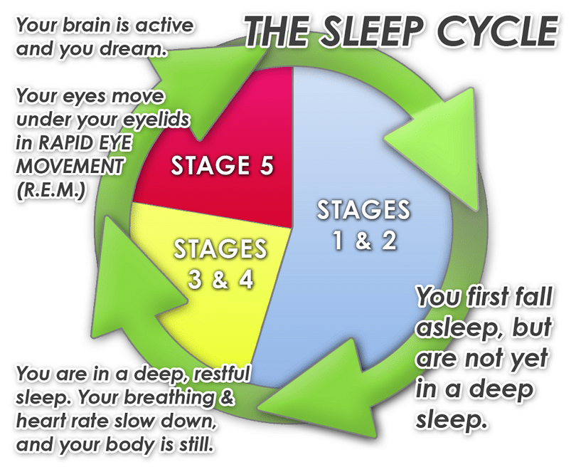 Sleep cycle. Слип цикл. Sleep and rest Cycle. Sleep Cycle Streaks.